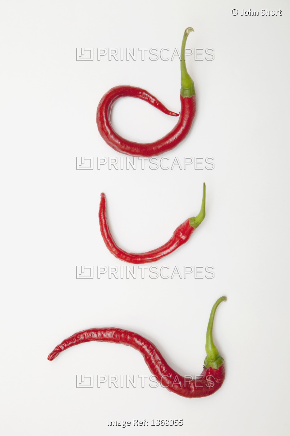 Three Red Jalapeno Peppers Curled Into Unique Shapes