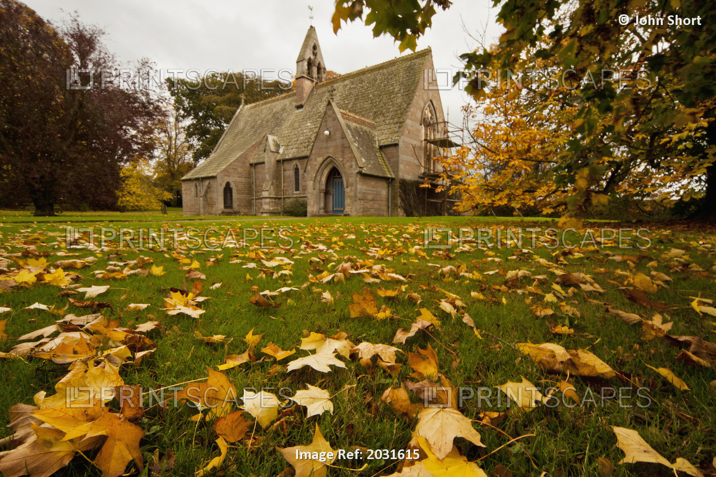Fallen Leaves On The Grass In Front Of A Church In Autumn; Northumberland, ...
