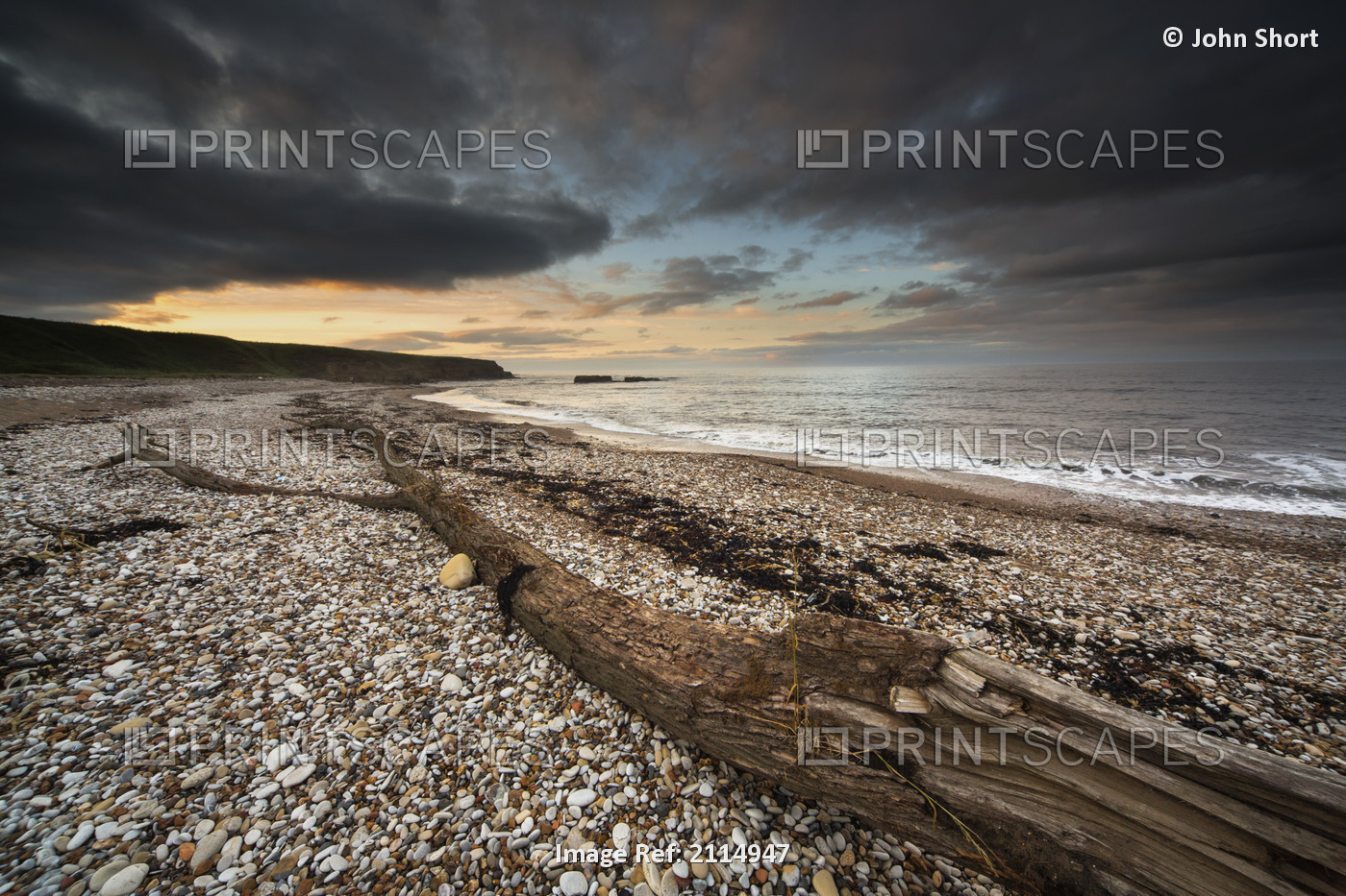 Driftwood laying on the gravel beach;Sunderland tyne and wear england