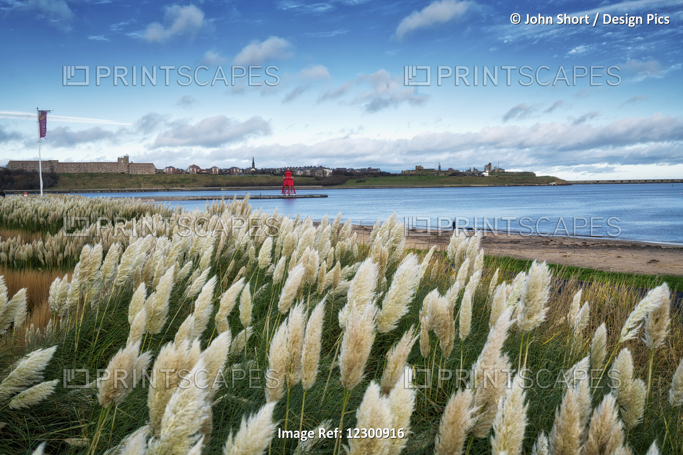 Littlehaven Bay And Herd Groyne Lighthouse; South Shields, Tyne And Wear, ...